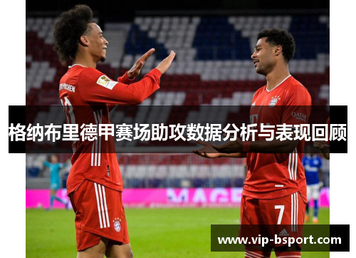 格纳布里德甲赛场助攻数据分析与表现回顾
