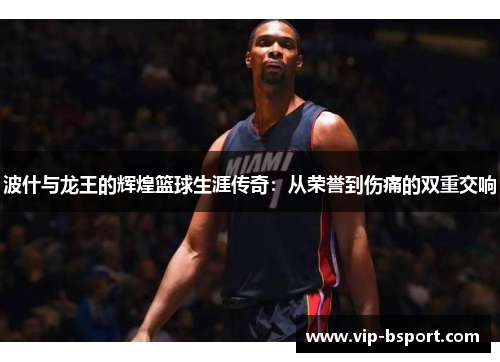 波什与龙王的辉煌篮球生涯传奇：从荣誉到伤痛的双重交响