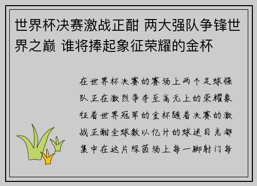世界杯决赛激战正酣 两大强队争锋世界之巅 谁将捧起象征荣耀的金杯