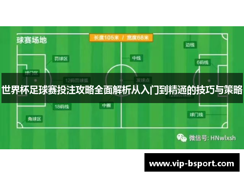 世界杯足球赛投注攻略全面解析从入门到精通的技巧与策略