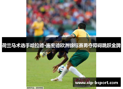 荷兰马术选手哈拉德·施密德欧洲锦标赛勇夺障碍跳跃金牌