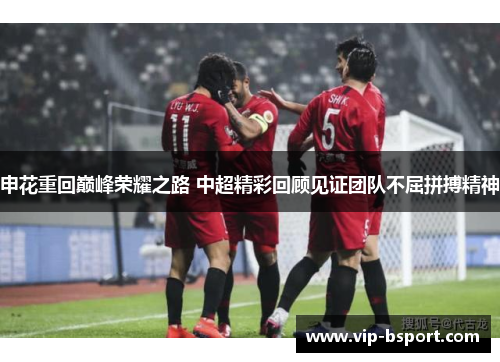 申花重回巅峰荣耀之路 中超精彩回顾见证团队不屈拼搏精神