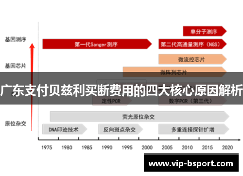 广东支付贝兹利买断费用的四大核心原因解析