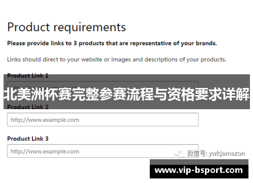 北美洲杯赛完整参赛流程与资格要求详解