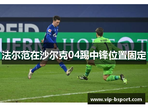 法尔范在沙尔克04踢中锋位置固定